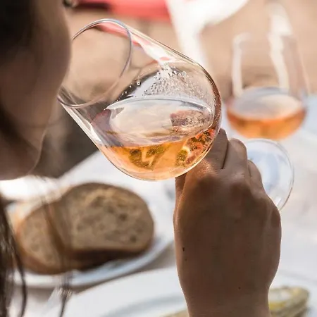 Parini Ξενοδοχείο 3*